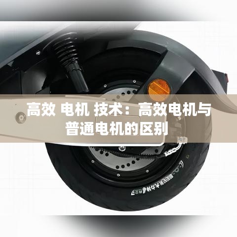 高效 電機 技術:高效電機與普通電機的區別