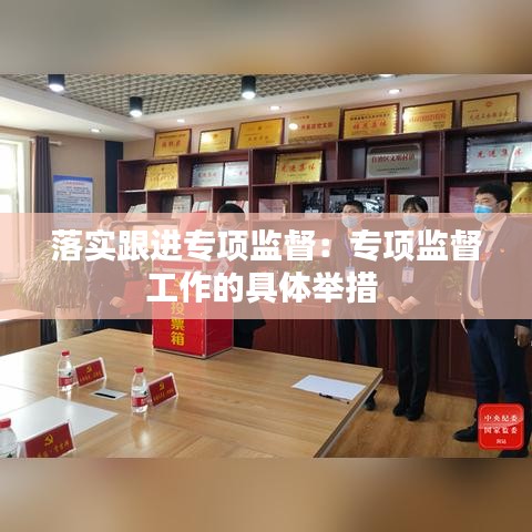 落實跟進專項監督:專項監督工作的具體舉措