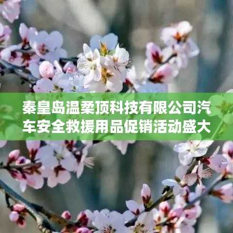 秦皇島溫柔頂科技汽車安全救援用品促銷盛大開(kāi)啟