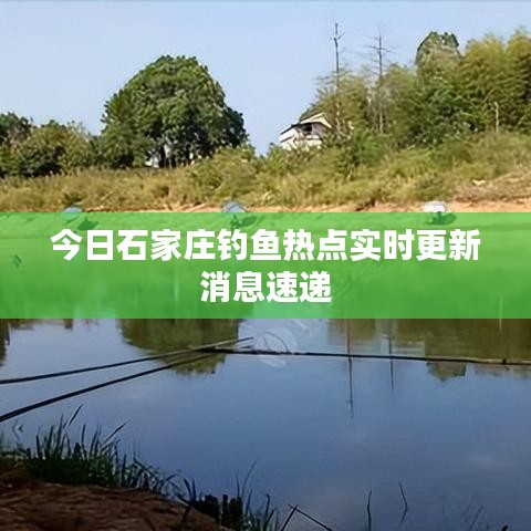 今日石家莊釣魚熱點實時更新消息速遞