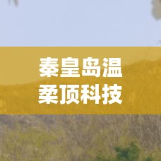 秦皇島溫柔頂科技榮獲創新獎,引領行業潮流,鑄就典范地位