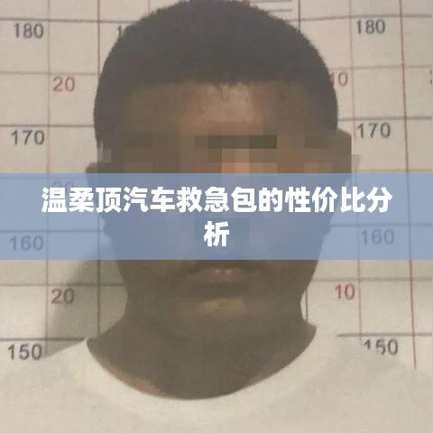 溫柔頂汽車救急包,性價比解析