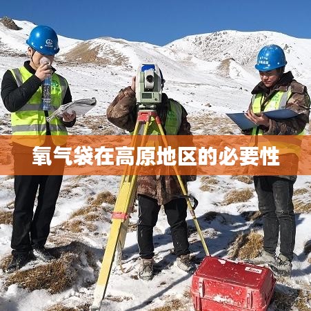 高原地區氧氣袋的不可或缺性