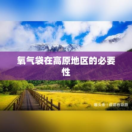 高原地區氧氣袋的不可或缺性