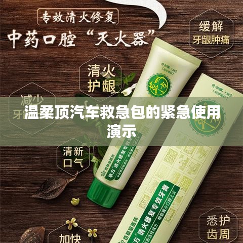 溫柔頂汽車救急包緊急使用指南,演示篇