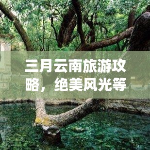 三月云南旅游攻略,絕美風(fēng)光等你來探!