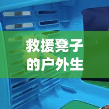 救援凳子戶外生存技巧指南
