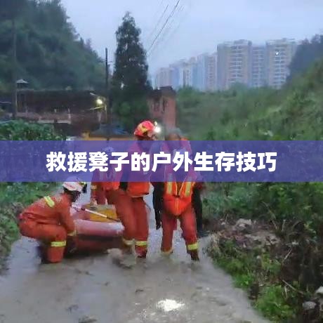 救援凳子戶外生存技巧指南