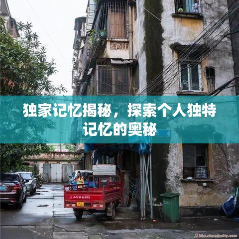 獨(dú)家記憶揭秘,探索個(gè)人獨(dú)特記憶的奧秘