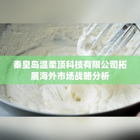 秦皇島溫柔頂科技海外市場拓展策略解析