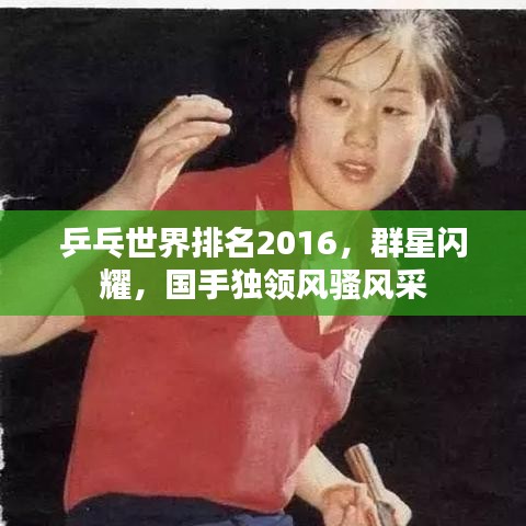 乒乓世界排名2016,群星閃耀,國手獨領風騷風采