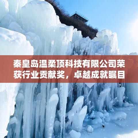 秦皇島溫柔頂科技榮獲行業(yè)貢獻獎,引領創(chuàng)新風潮,卓越成就矚目