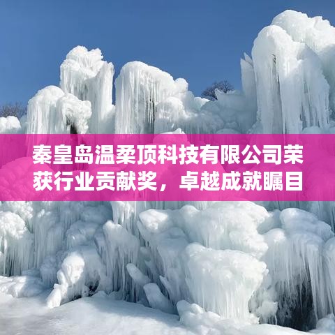 秦皇島溫柔頂科技榮獲行業(yè)貢獻(xiàn)獎(jiǎng),引領(lǐng)創(chuàng)新風(fēng)潮,卓越成就矚目