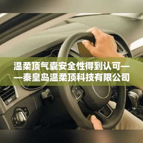 秦皇島溫柔頂科技引領行業(yè)新標桿,氣囊安全性備受認可