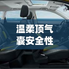 秦皇島溫柔頂科技引領(lǐng)行業(yè)新標(biāo)桿,氣囊安全性備受認(rèn)可