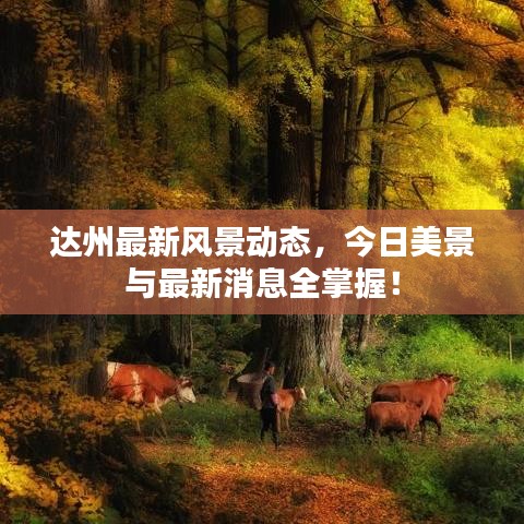達州最新風景動態,今日美景與最新消息全掌握!