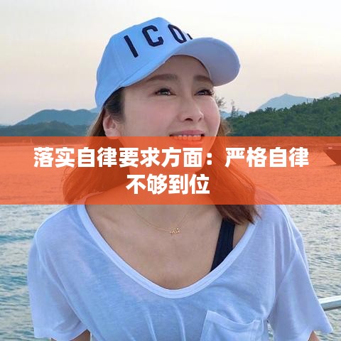 落實自律要求方面：嚴(yán)格自律不夠到位 