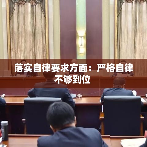 落實自律要求方面:嚴格自律不夠到位