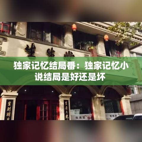 獨家記憶結局番:獨家記憶小說結局是好還是壞