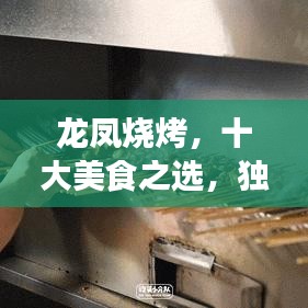 龍鳳燒烤,十大美食之選,獨特味蕾盛宴