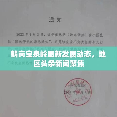 鶴崗寶泉嶺最新發展動態,地區頭條新聞聚焦