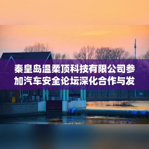 秦皇島溫柔頂科技參加汽車安全論壇,深化合作,共謀發(fā)展