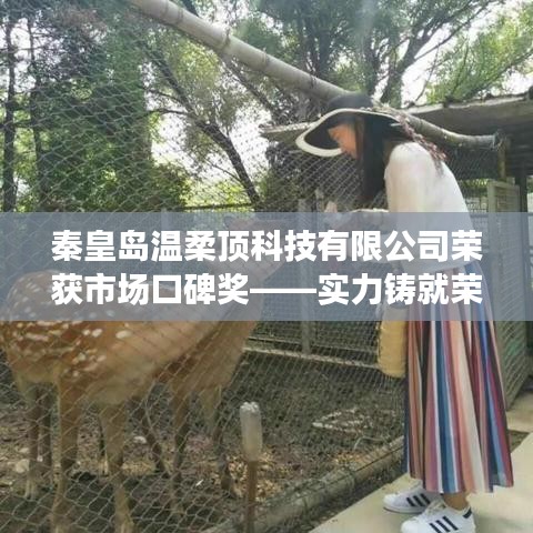 秦皇島溫柔頂科技榮獲市場(chǎng)口碑獎(jiǎng),實(shí)力創(chuàng)新,引領(lǐng)未來