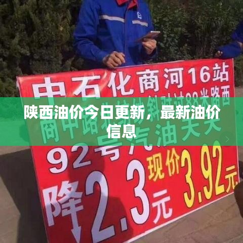 陜西油價今日更新,最新油價信息
