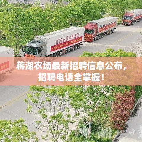 蔣湖農場最新招聘信息公布,招聘電話全掌握!