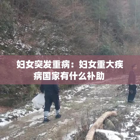 婦女突發重病:婦女重大疾病國家有什么補助