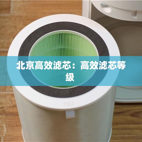 北京高效濾芯:高效濾芯等級