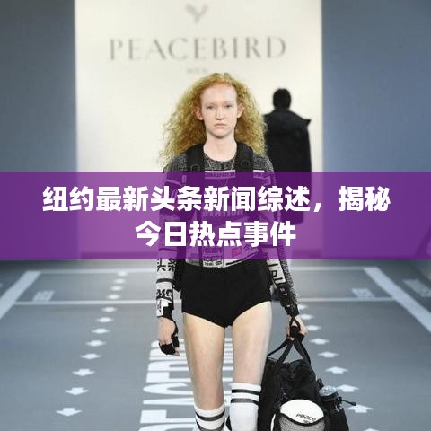 紐約最新頭條新聞綜述,揭秘今日熱點事件