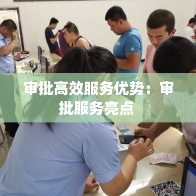 審批高效服務優勢:審批服務亮點