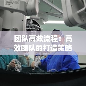 團隊高效流程:高效團隊的打造策略