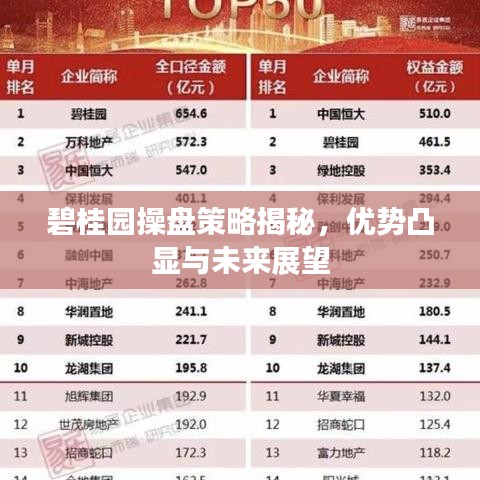 碧桂園操盤策略揭秘,優勢凸顯與未來展望