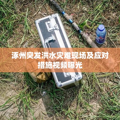 涿州突發(fā)洪水災(zāi)難現(xiàn)場(chǎng)及應(yīng)對(duì)措施視頻曝光