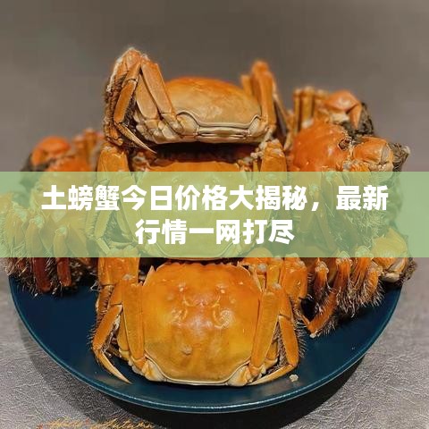 土螃蟹今日價格大揭秘，最新行情一網打盡