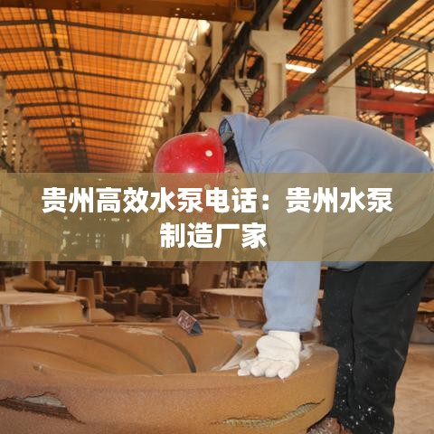 貴州高效水泵電話:貴州水泵制造廠家