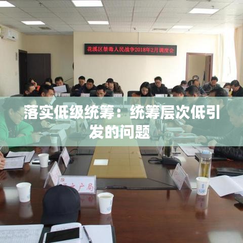 落實低級統籌:統籌層次低引發的問題