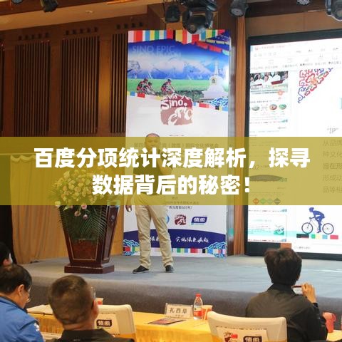 百度分項(xiàng)統(tǒng)計(jì)深度解析,探尋數(shù)據(jù)背后的秘密!