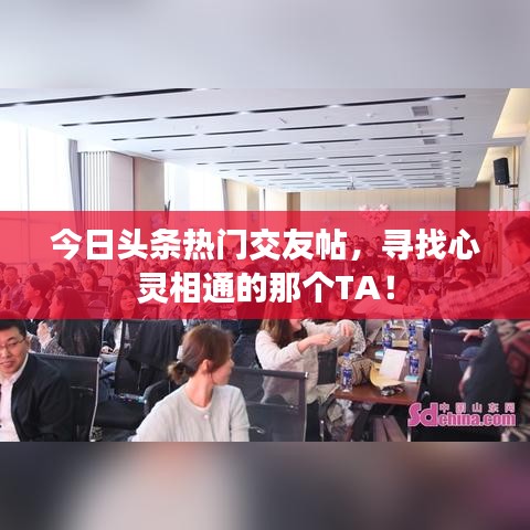 今日頭條熱門交友帖,尋找心靈相通的那個TA!