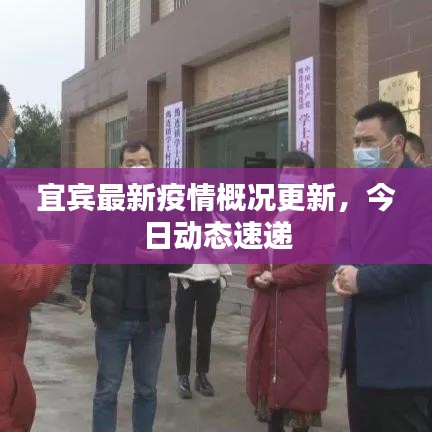宜賓最新疫情概況更新，今日動(dòng)態(tài)速遞