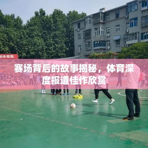 賽場背后的故事揭秘,體育深度報道佳作欣賞