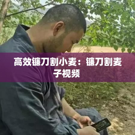 高效鐮刀割小麥:鐮刀割麥子視頻
