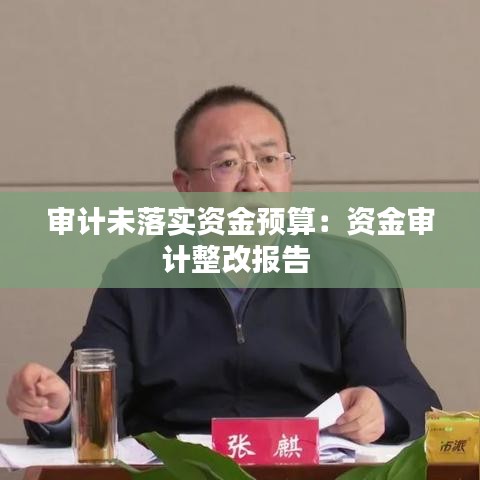 審計(jì)未落實(shí)資金預(yù)算:資金審計(jì)整改報(bào)告