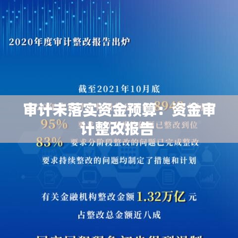 審計(jì)未落實(shí)資金預(yù)算:資金審計(jì)整改報(bào)告