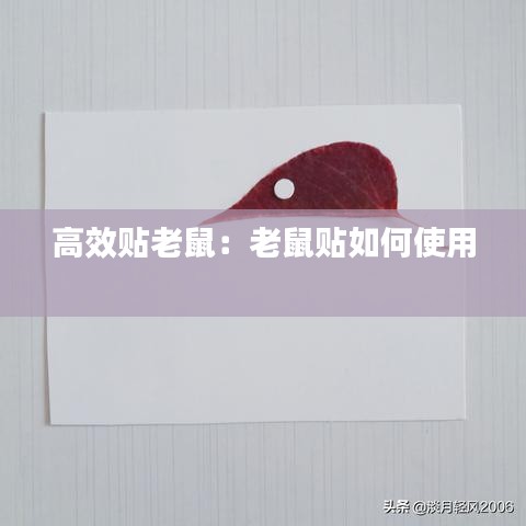 高效貼老鼠:老鼠貼如何使用