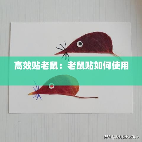 高效貼老鼠:老鼠貼如何使用