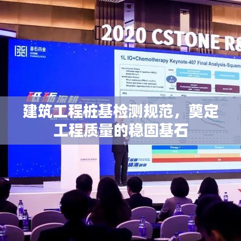 建筑工程樁基檢測規范，奠定工程質量的穩固基石