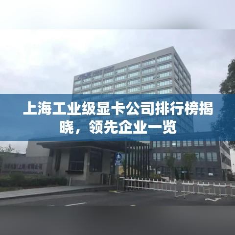 上海工業(yè)級(jí)顯卡公司排行榜揭曉,領(lǐng)先企業(yè)一覽